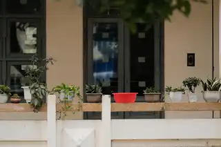 Terrace & Balcony Landscaping