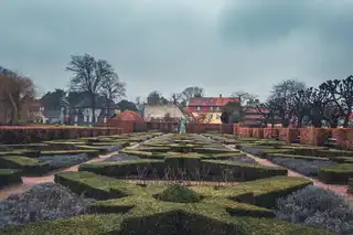 Landscape Design