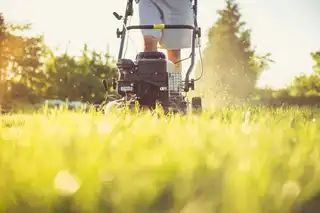 Lawn Care
