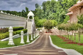 Elena Garden Portfolio 2