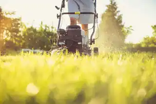 Lawn Dethatching & Fertilization